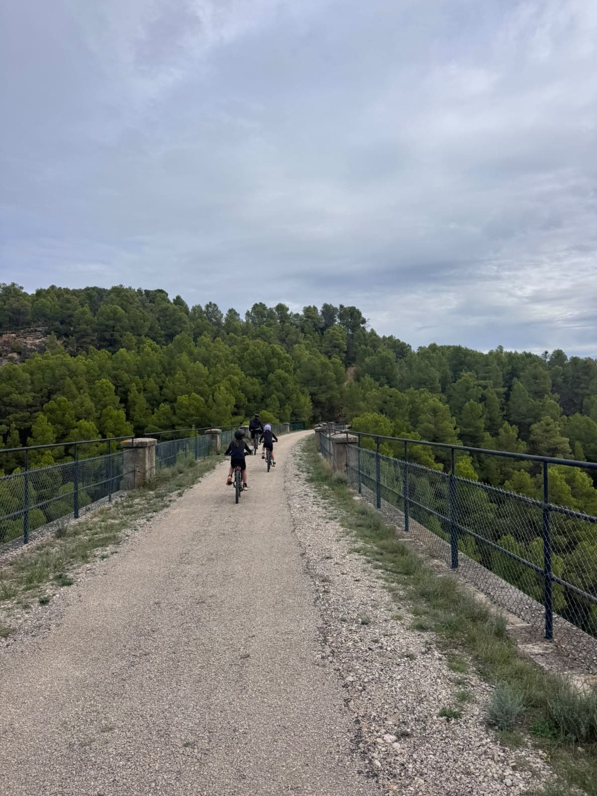 Familia en bici cruzando un viaducto de la Vía Verde de la Terra Alta